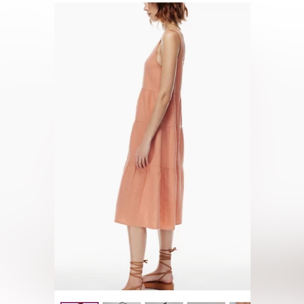 Wilfred Free Terracotta Maxi Dress